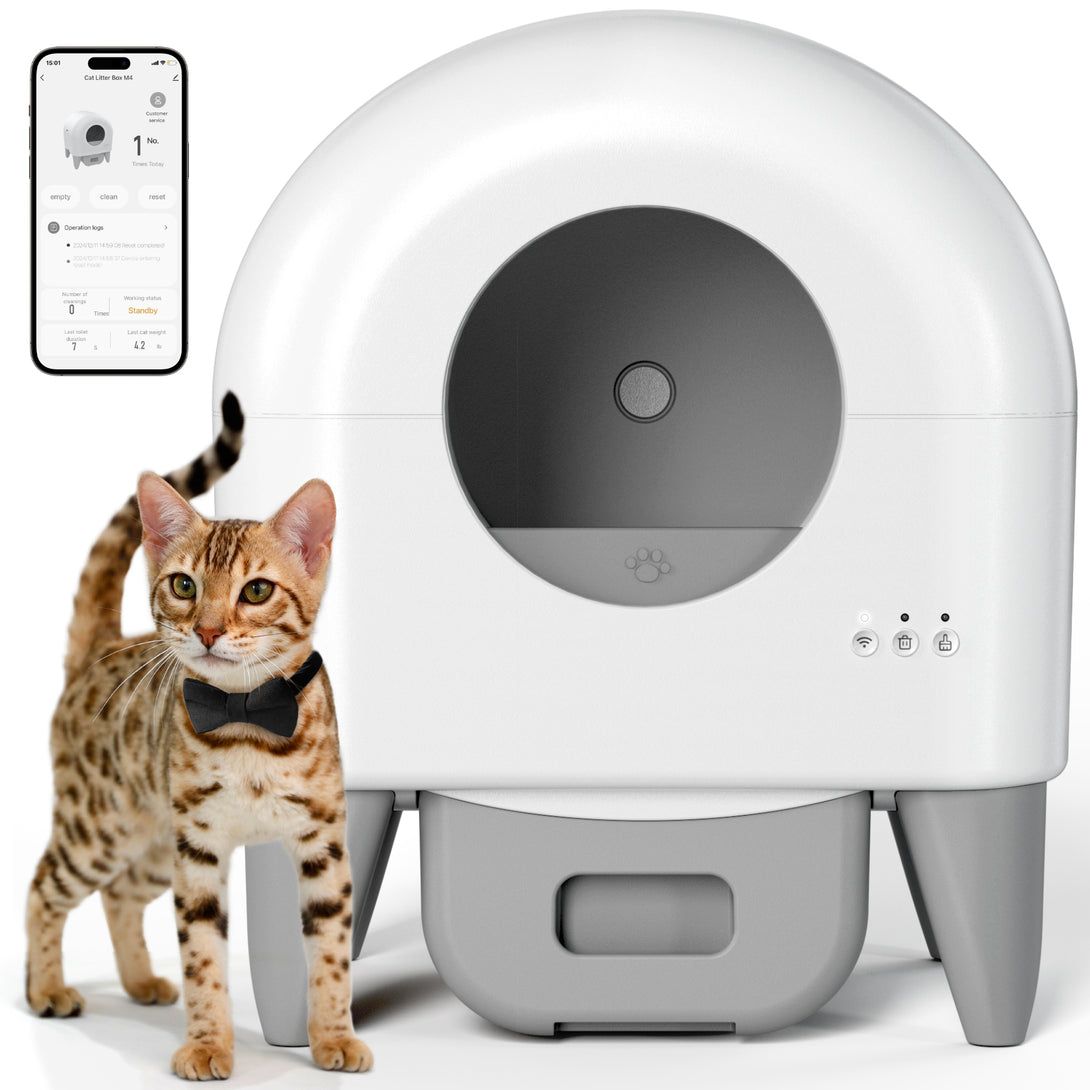 Cumrige Self-Cleaning Litter Box