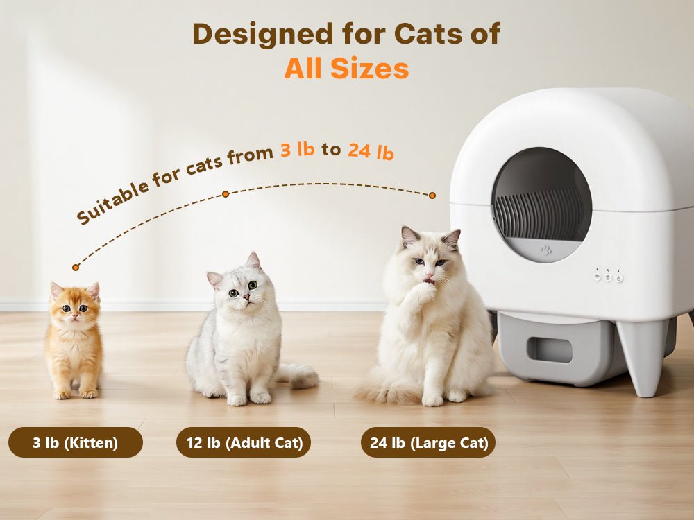 Cumrige M4 Self-Cleaning Litter Box