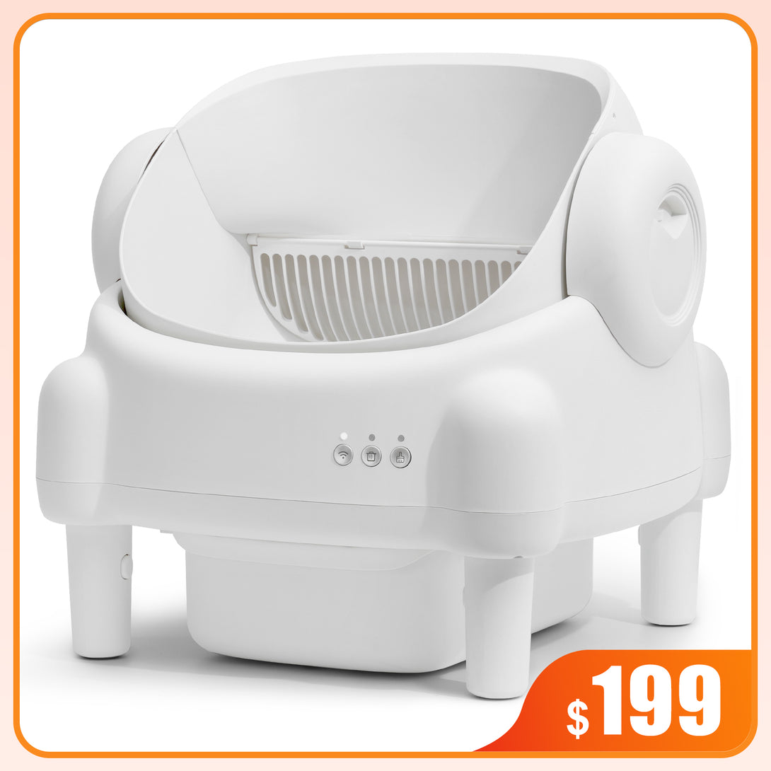 Cumrige M5 Self - Cleaning Litter Box | Open Design Smart Cat Litter Box with Safety Sensors - Cumrige - Cat_Litter_Box - self_cleaning_litter_box